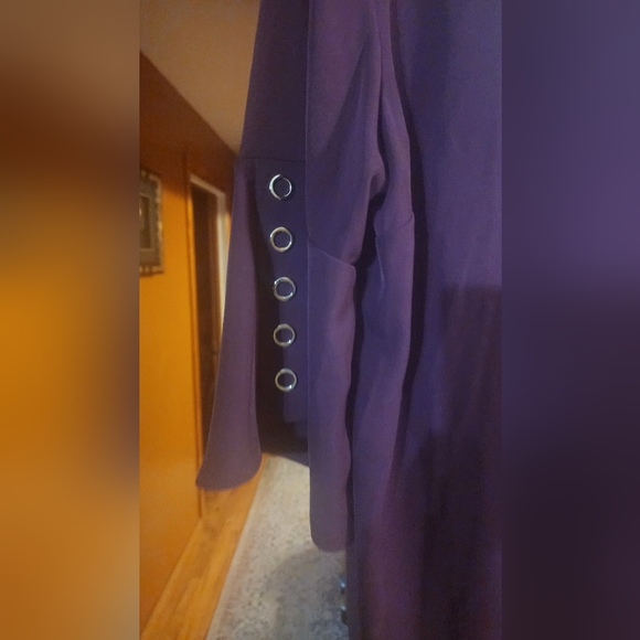 Plum dress size 14 zip in the back New with tag - Picture 3 of 7